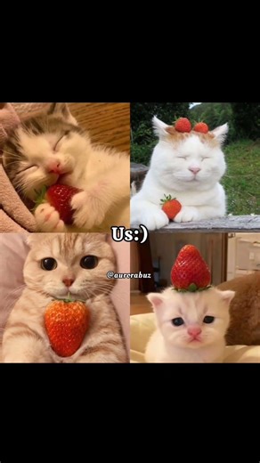 us...... ✨💫#trending #aestheic #recommended