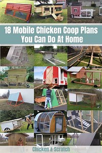 18 Mobile Chicken Coop Plans You Can Easily Do At Home