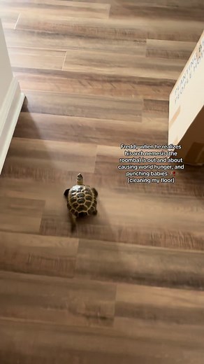 Freddy vs. Roomba: A Hilarious Showdown