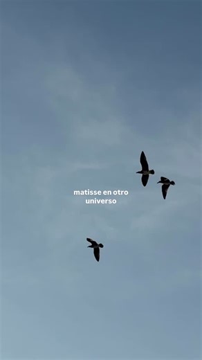 melissa robles on Instagram: "amo matisse 🥹❤️‍🩹 comparte si tú también 🙂"