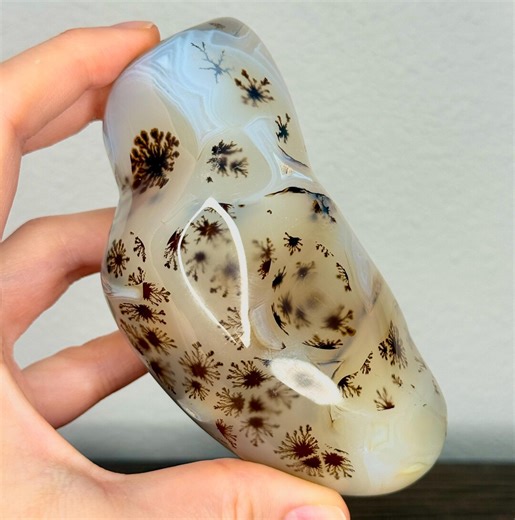 WOW! Swirly Dendrites in Agate Free Form - Etsy
