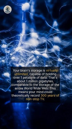 The human brain can store an estimated petabyte of information. | Amazing World