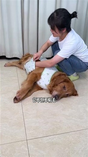 Finally found some dog clothes that fully cover their belly! They're breathable and not stuffy in ho