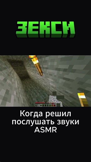 POV: Послушал звуки ASMR #майнкрафт #minecraft