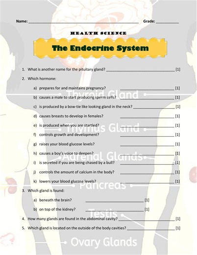 The Endocrine System - Hormones online exercise for