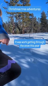 Who else cuts down their own Christmas tree? It's only our 4th year doing it and we love it so much! $20 permit and helping out the forest = totally worth it (P.S. 4th graders can get it free) I happened to read Elder Uchtdorf's Conference talk before we went and thought about it the whole time. "Jesus Christ and His atoning sacrifice are the root of our testimony. All other things are branches." If we aren't feeling the Christmas spirit, then perhaps we aren't focusing enough on Christ. Christ 