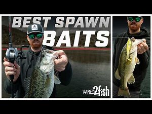 Best Baits to Find Spring Spawning Bass Fast