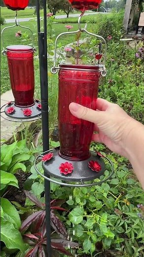 Want to attract more hummingbirds to your garden? 🐦❤️ The Kingsyard Glass Hummingbird Feeder