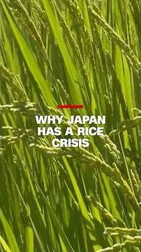 Why Japan has a rice crisis