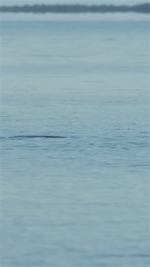 When it comes to serious time on the water, @hukgear doesn’t just make fishing clothes, they build performance armor for anglers 💪From sunrise runs in chilly spray to blazing midday heat, Huk gear is engineered to regulate temperature, block harmful UV rays, wick moisture, and dry fast so you stay focused on the bite … not the elements. Lightweight, breathable fabrics keep you cool when the sun is relentless, while wind-resistant layers and insulated outerwear lock in warmth when cold fronts ro