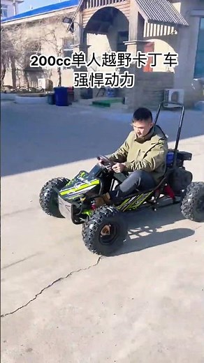 200cc off road go kart factory, one seat Dune Buggy, Adult all-terrain vehicle #gokart #buggy