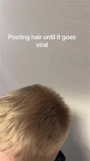 Chicken Stars (@chicken.stars71)’s videos with original sound - gasoline