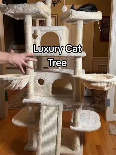 Luxury Cat Tree for Multiple Cats: Ideal for Your Feline Family