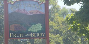 Local farm turns homegrown berries into statewide sold wine
