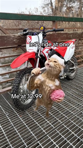 #MemeCut #xyzbca #Mototok #Meme #MemeCut | Motorcycle TikTok