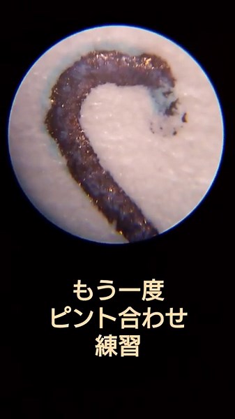 五年生六年生理科【顕微鏡の使い方】対象物の動かし方と左右上下反転の確認#ショート #ショート動画 #顕微鏡#顕微鏡の使い方#顕微鏡の左右上下反転確認#顕微鏡対象物の動かし方#理科支援員#ソラリカ