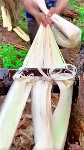 Manual Banana Fiber Extraction Process For Sustainable Eco-Friendly Textiles And Crafts