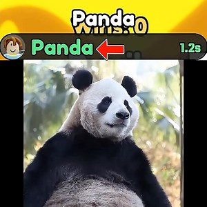 This Bro Loves Pandas 💔 #roblox