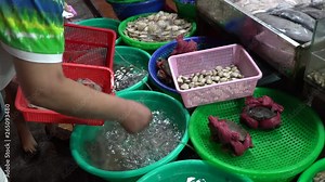 Live lobsters, shrimps and squid in a fresh seafood restaurant.