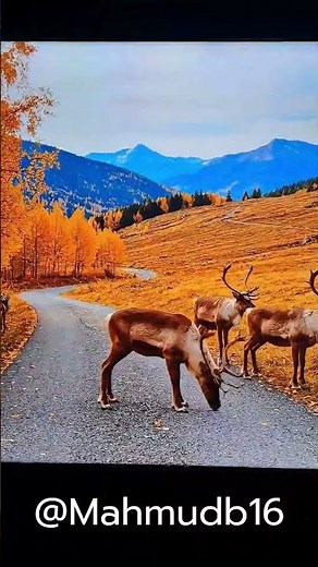 Timelapse of Delaware’s Capital City | Dover in Motion 🇺🇸 #Mahmudb16
