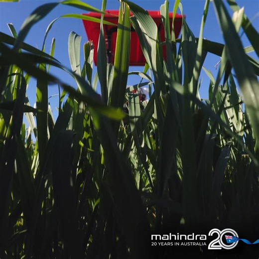 🎉 20 Years of Farming with Mahindra ✅ Tractors and farm equipment built for performance and longevity ✅ Tough and reliable for Australian conditions ✅ Trusted by farmers nationwide for strength and dependability Power your farm with Mahindra today! 🚜 | Mahindra Ag