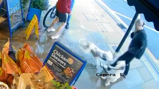 Watch: Moment suspected XL Bully attacks cockapoo