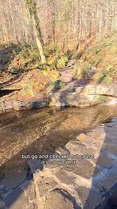 Here is where I went this morning!! What an absolute stunning hidden South Wales gem.🏴󠁧󠁢󠁷󠁬󠁳󠁿 Have you been to Craig Gwladus Country Park in Cilfrew?? Not great if you have mobility problems! But children will.love discovering so much!! 👞 Wear suitable footwear👞 🚘Three free car parks and a toilet (middle car park) 📍Penscynor, Cilfrew, Aberdulais, Neath SA10 #southwales #Wales #CountryPark #walking #naturewalks #neathporttalbot | Dawn - Fearny's finds