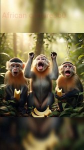 Cute Baby Monkeys Enjoying Bananas 🍌🐒 | Heartwarming Wildlife Moment