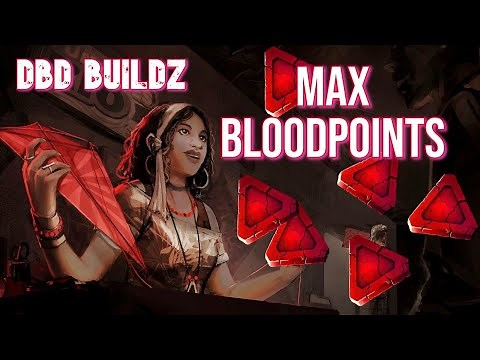 The BEST Survivor Blood Point Build & Guide! ( For ALL Players )