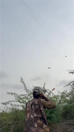 Ducks Hunting Perfect Flying Shot #hunting #youtubeshorts