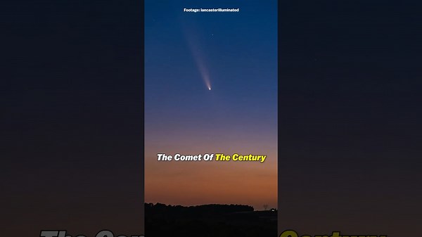 I've found a rare comet you need to see!