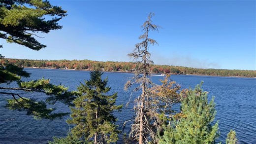 Four float planes filling up to water bomb a wild fire across lake, and they have been flying these runs every 5 minutes for the past two hours. | Love Notes
