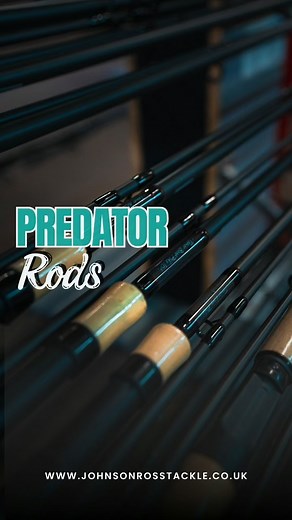 Predator Rods 🎣 With predator season in full swing, we have a variety of predator rods including the new Free Spirit Tamer range. For more details come visit the shop or check them out on our site 🙌 #johnsonrosstackle #johnsonross #carpfishing #tackleshop | Johnson Ross Tackle