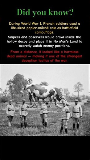 The Strangest Camouflage of WWI 🐄 | The Fake Cow Sniper Trick #shorts
