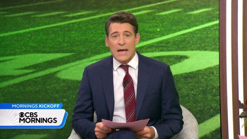 Meet the man behind the Houston Texans' mascot, who's achieving his childhood dream