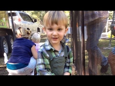 2-Year-Old Boy Survives Being Bitten By One of The World's Most Venomous Snakes