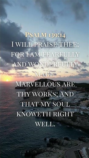 FEARFULLY & WONDERFULLY MADE