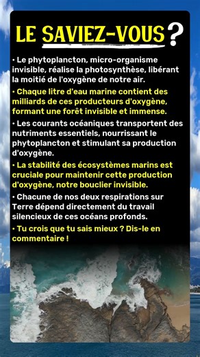 D'où vient vraiment la moitié de votre oxygène ?