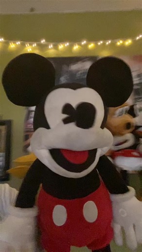 Happy Mother’s Day 🐭 #MakeMomSmile#happymothersday#mom#mother#mothersday#disney#mickeymouse#donaldduck#goofy#disneyland