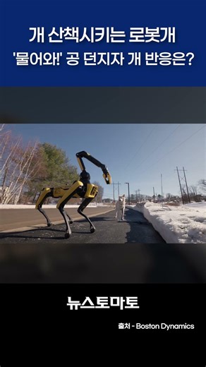 "주인님, 개 산책 다녀올게요!" 구글 AI 먹고 똑똑해진 로봇개 '스팟' 🐶🤖