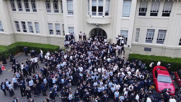 Mount Albert Grammar School on Reels