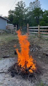 Early Beltane fire on Easter Sunday. 🔥 Technically it's a burn pile but we make do with what we have. We hope that you enjoyed a lovely holiday either feasting with family & friends, taking it easy and just having a smooth day with snacks and movies, maybe gardening or cleaning the yard. But it truly was a beautiful spring day here.🌷And as you can see, we are clearing and burning, doing our part to keep California fire safe! ￼Dinner was salad and bread.👌 | White Magick Alchemy
