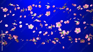 Cherry Blossoms On Blue Background. Loop able 3DCG render Animation.