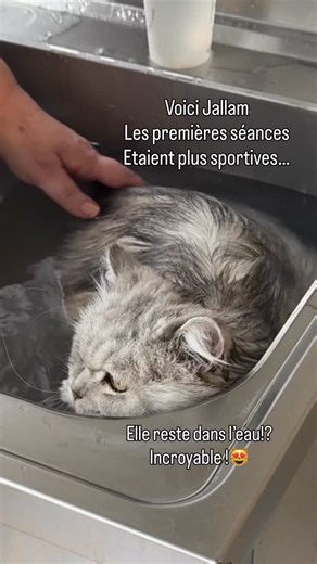 Magali on Instagram: "Voici Jallam. C’est elle qui apparaît dans la vidéo sur la peur de l’eau… et voilà l’évolution de son commentaire durant le soin…"