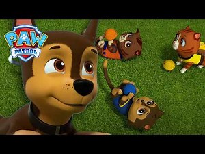 Humdinger’s Cats Are Up to No Good! 🐱 - PAW Patrol - Cartoons for Kids