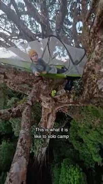 Solo Camping in a Giant Strangler Fig Tree
