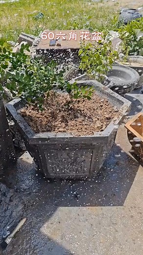 Homemade concrete pot | Homemade concert pots