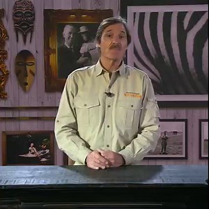 Nothing is better after a long week than cozying up on the couch to watch some classic Wild Kingdom episodes. You bring the blanket and TV dinners, we’ll supply the entertainment. Newly remastered tonight: Call of the Whale Part II and Land of the Coati. Can’t tune in tonight? Watch your favorite episodes anytime on our website: https://mutualofomaha.co/3SwOBWA | Mutual of Omaha's Wild Kingdom