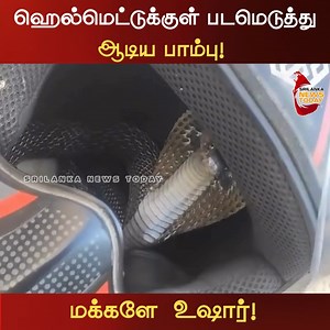 1.3M views · 28K reactions | ஹெல்மெட்டுக்குள் படமெடுத்து ஆடிய பாம்பு! மக்களே உஷார்! | Srilanka News Today | Facebook