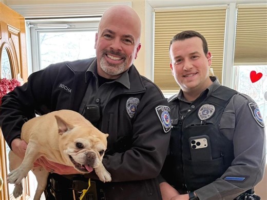 Dog Rescued After Being Trapped In Wall Of Montco Home